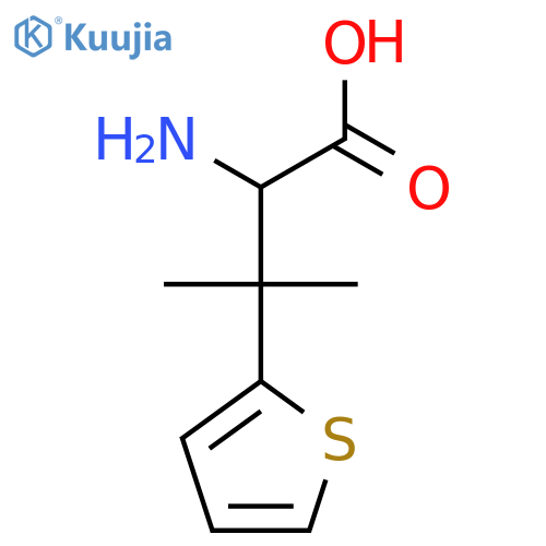 2-amino-3-methyl-3-(thiophen-2-yl)butanoic acid structure