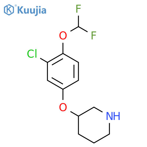 3-3-chloro-4-(difluoromethoxy)phenoxypiperidine structure