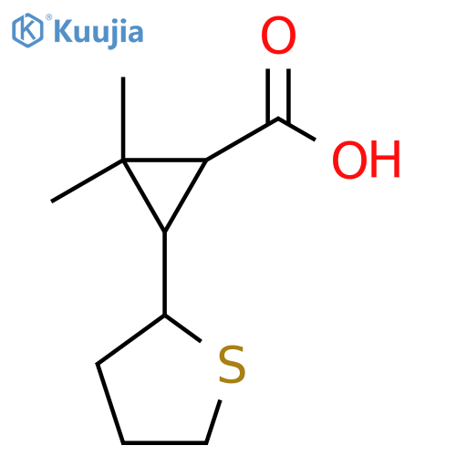 2,2-dimethyl-3-(thiolan-2-yl)cyclopropane-1-carboxylic acid structure
