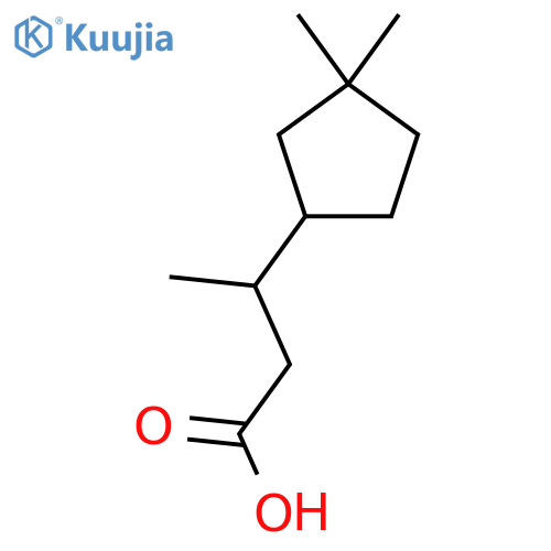 3-(3,3-dimethylcyclopentyl)butanoic acid structure