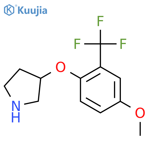 3-4-methoxy-2-(trifluoromethyl)phenoxypyrrolidine structure