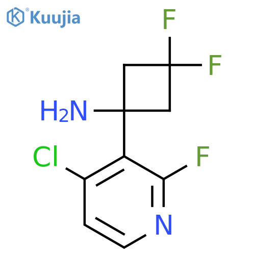 1-(4-chloro-2-fluoropyridin-3-yl)-3,3-difluorocyclobutan-1-amine structure