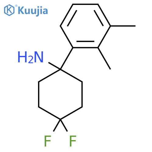 1-(2,3-dimethylphenyl)-4,4-difluorocyclohexan-1-amine structure