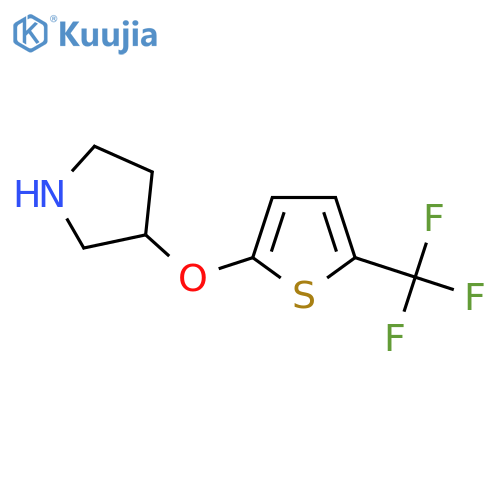 3-{5-(trifluoromethyl)thiophen-2-yloxy}pyrrolidine structure