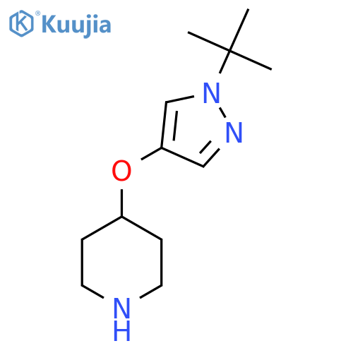 4-(1-tert-butyl-1H-pyrazol-4-yl)oxypiperidine structure