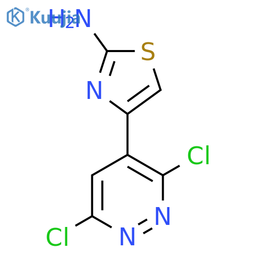 4-(3,6-dichloropyridazin-4-yl)-1,3-thiazol-2-amine structure