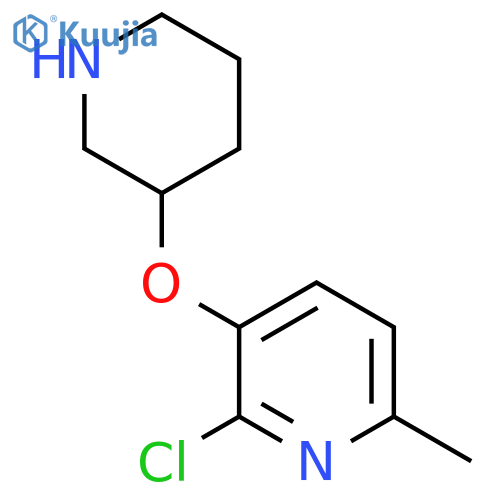 2-chloro-6-methyl-3-(piperidin-3-yloxy)pyridine structure