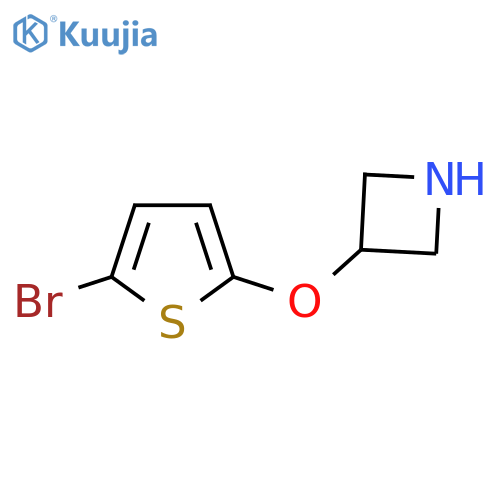 3-(5-bromothiophen-2-yl)oxyazetidine structure