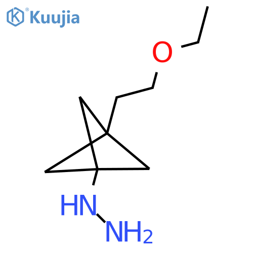 [3-(2-Ethoxyethyl)-1-bicyclo[1.1.1]pentanyl]hydrazine structure