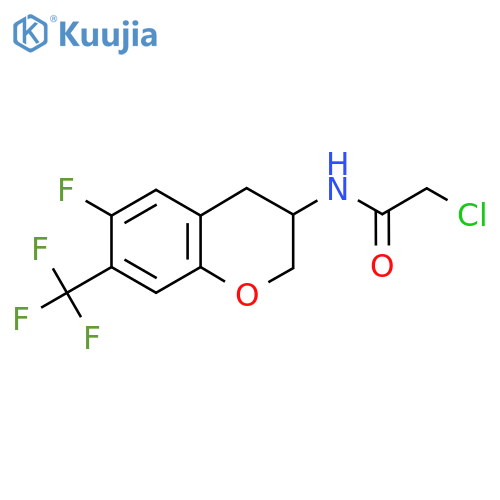 2-chloro-N-[6-fluoro-7-(trifluoromethyl)-3,4-dihydro-2H-1-benzopyran-3-yl]acetamide structure