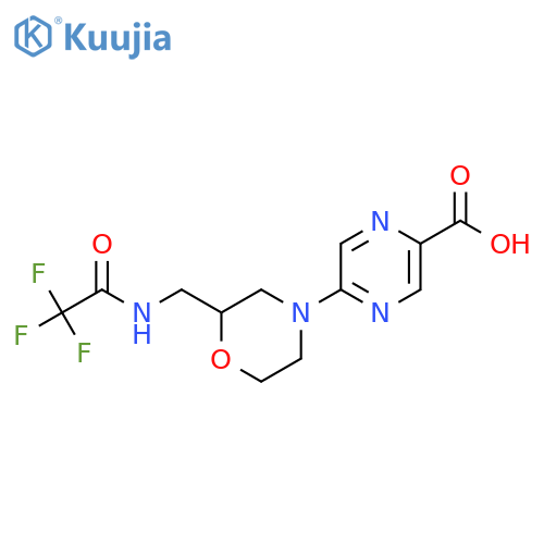 5-{2-(2,2,2-trifluoroacetamido)methylmorpholin-4-yl}pyrazine-2-carboxylic acid structure