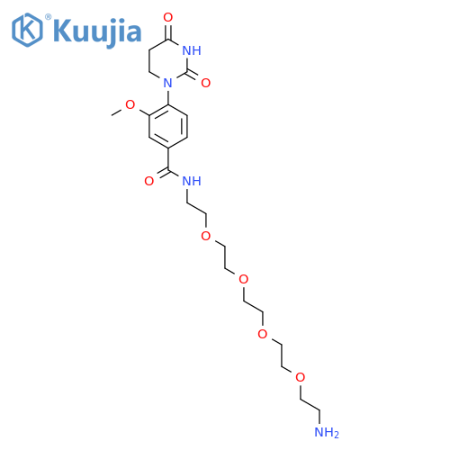N-(14-amino-3,6,9,12-tetraoxatetradecan-1-yl)-4-(2,4-dioxo-1,3-diazinan-1-yl)-3-methoxybenzamide structure