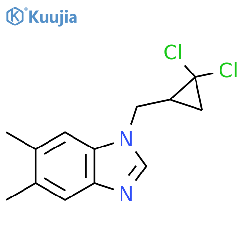 1-(2,2-dichlorocyclopropyl)methyl-5,6-dimethyl-1H-1,3-benzodiazole structure