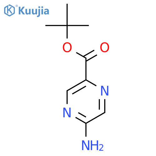 2-Pyrazinecarboxylicacid, 5-amino-, 1,1-dimethylethyl ester structure