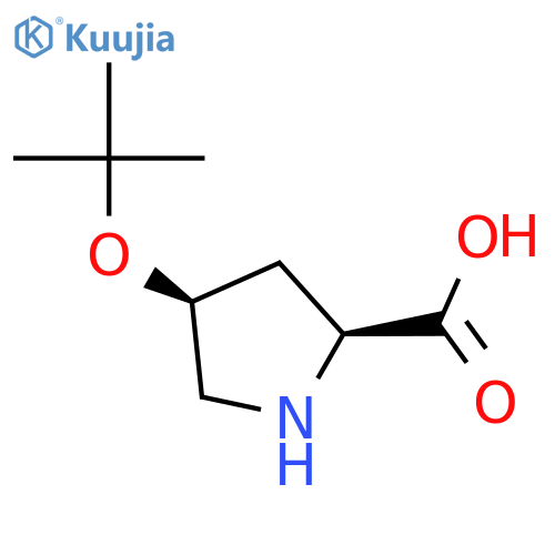 L-Proline, 4-(1,1-dimethylethoxy)-, (4S)- structure