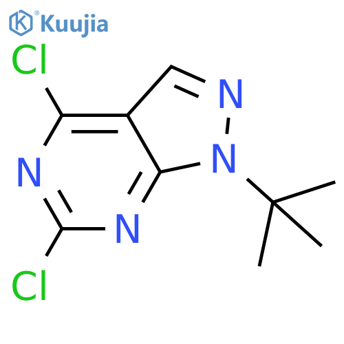 1-Tert-butyl-4,6-dichloro-1h-pyrazolo[3,4-d]pyrimidine structure
