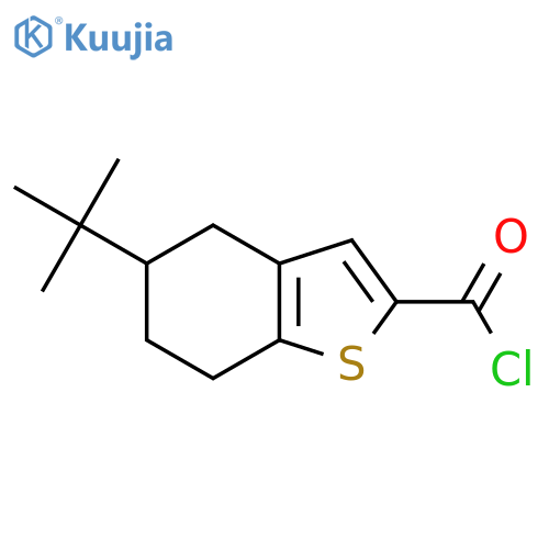 5-Tert-butyl-4,5,6,7-tetrahydro-1-benzothiophene-2-carbonyl chloride structure